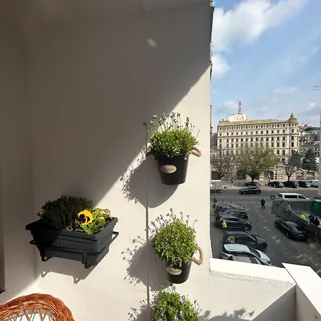 View Апартаменты *